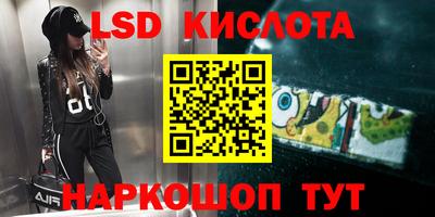 гидропоника Новозыбков