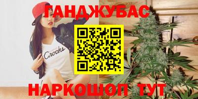 сатива Новодвинск