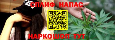 гидропоника Новозыбков