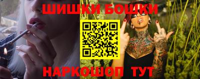 сатива Новодвинск