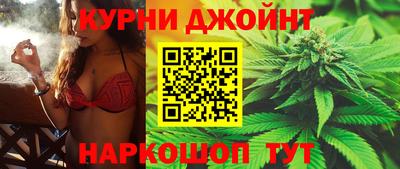 гидропоника Новозыбков