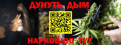 сатива Новодвинск